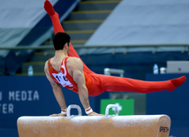 Bakıda idman gimnastikası üzrə Dünya Kubokunda ilk qaliblərin mükafatlandırma mərasimi keçirilib. Azərbaycan, 21 fevral, 2016